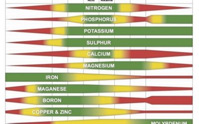 Increasing Fertilizer Efficiency Through pH Management