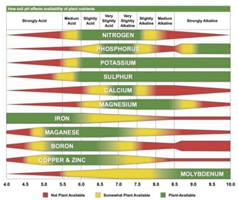 Increasing Fertilizer Efficiency Through pH Management | Missouri ...