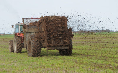 Using Nutrients from the Right Rate Gets Producers the Best Bang for Their Buck